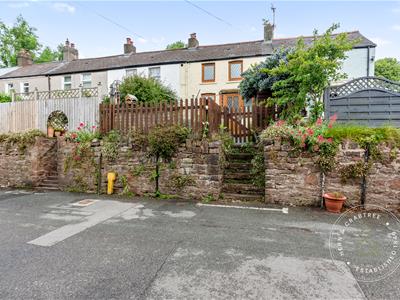 Picture 28